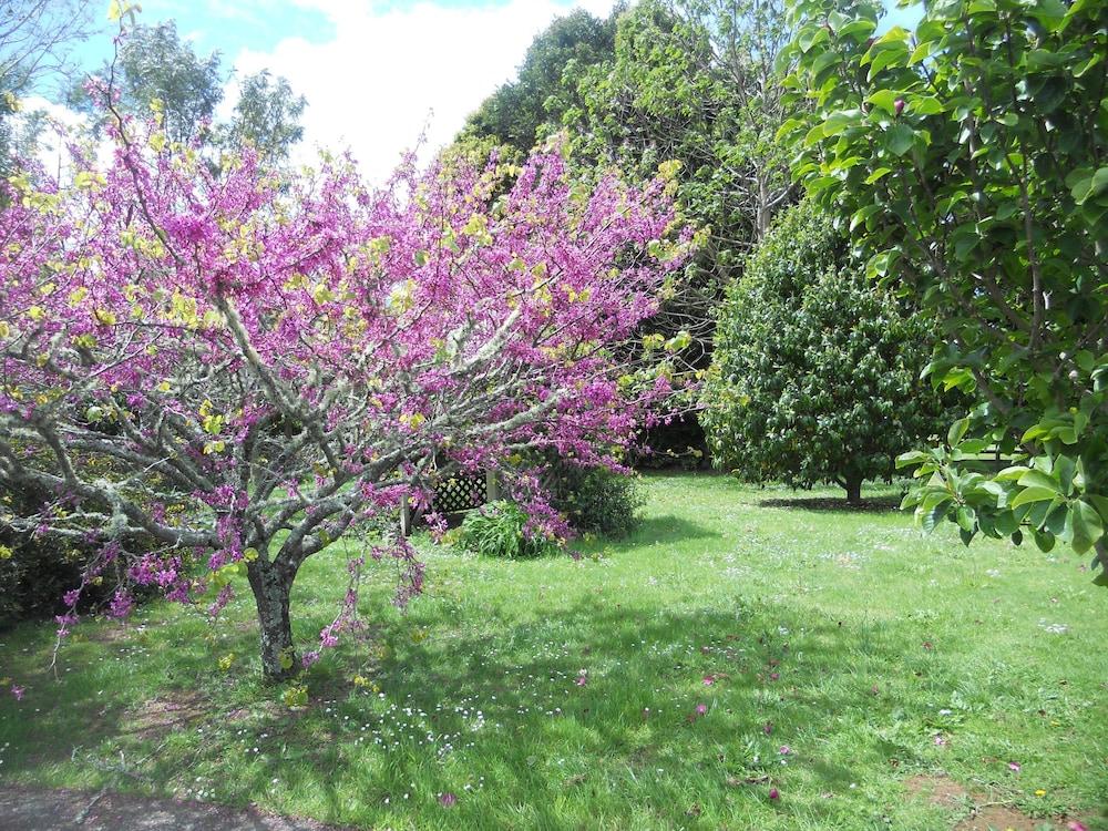 surroundings