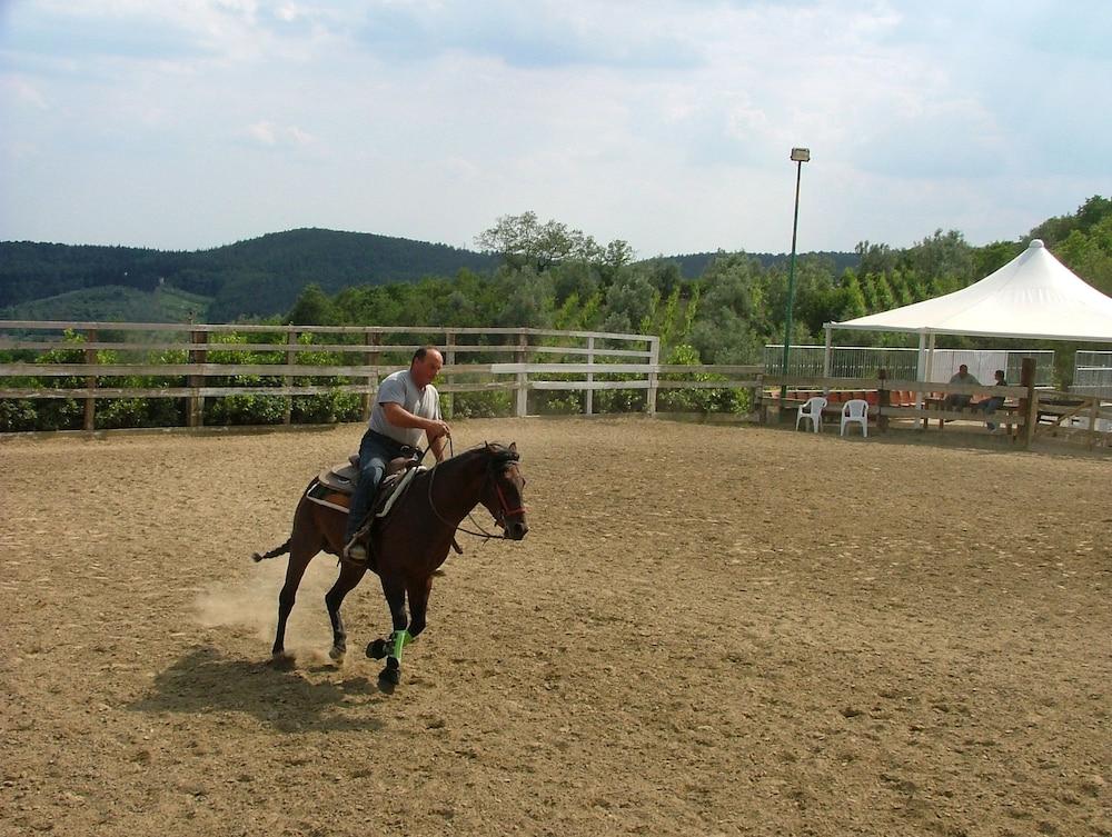 sport_facililities