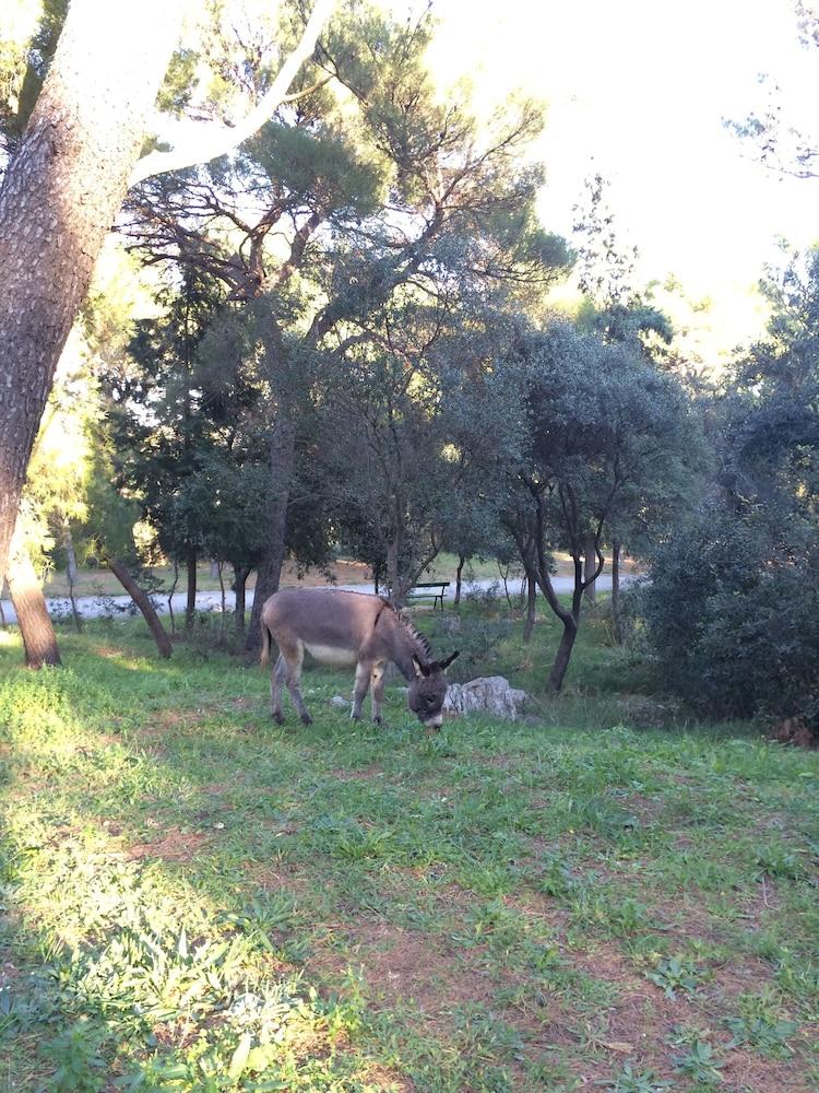 surroundings