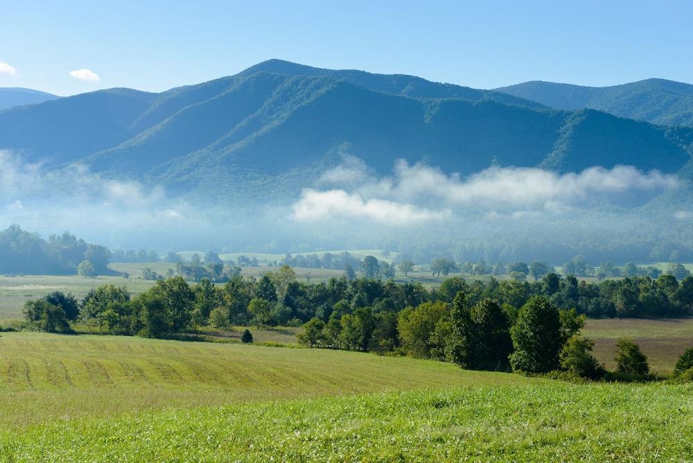 surroundings