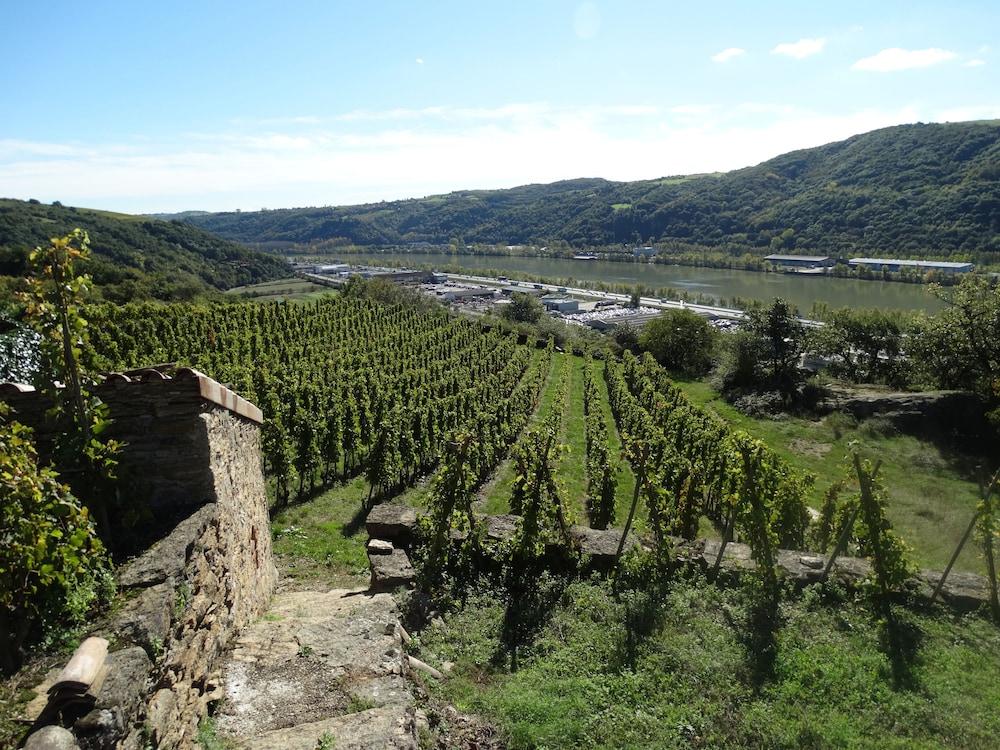 surroundings