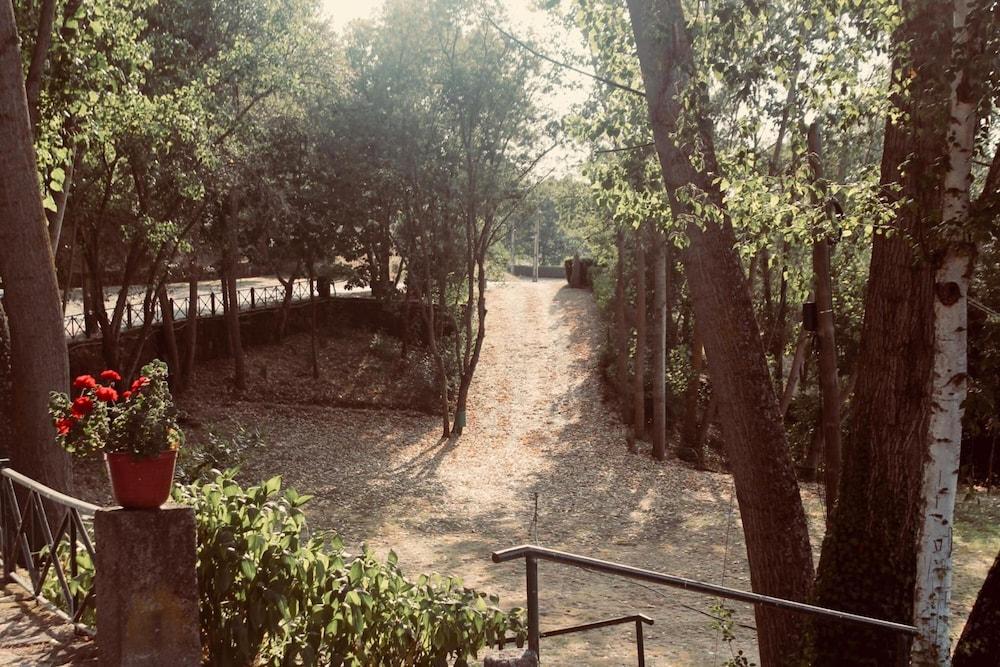 surroundings