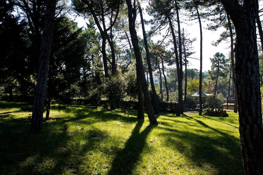 surroundings