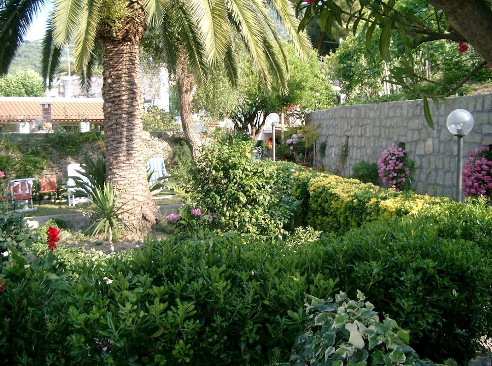 surroundings