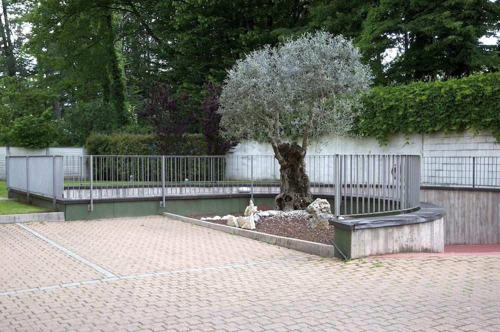 surroundings