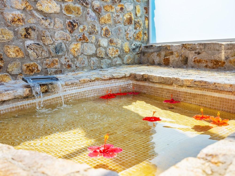 swimming pool spa