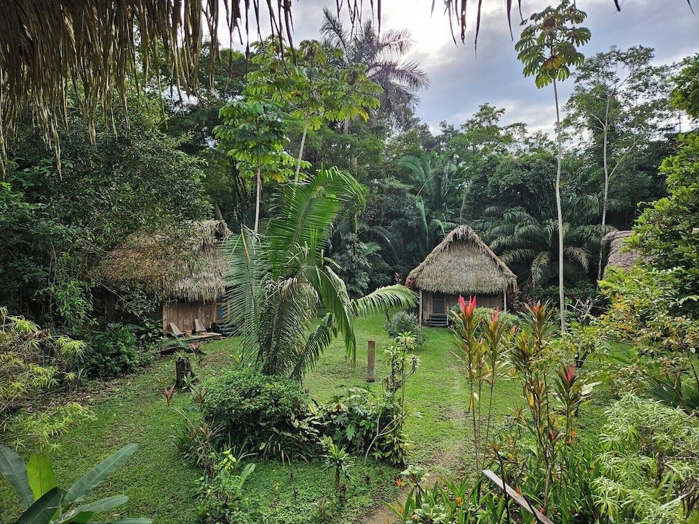 surroundings