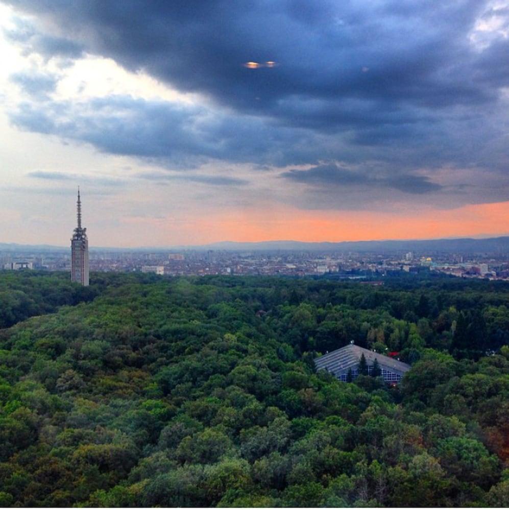surroundings