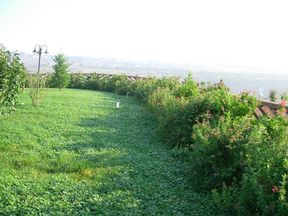 surroundings