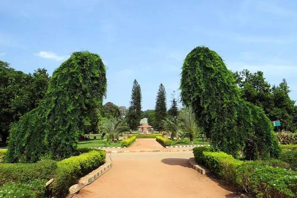 surroundings