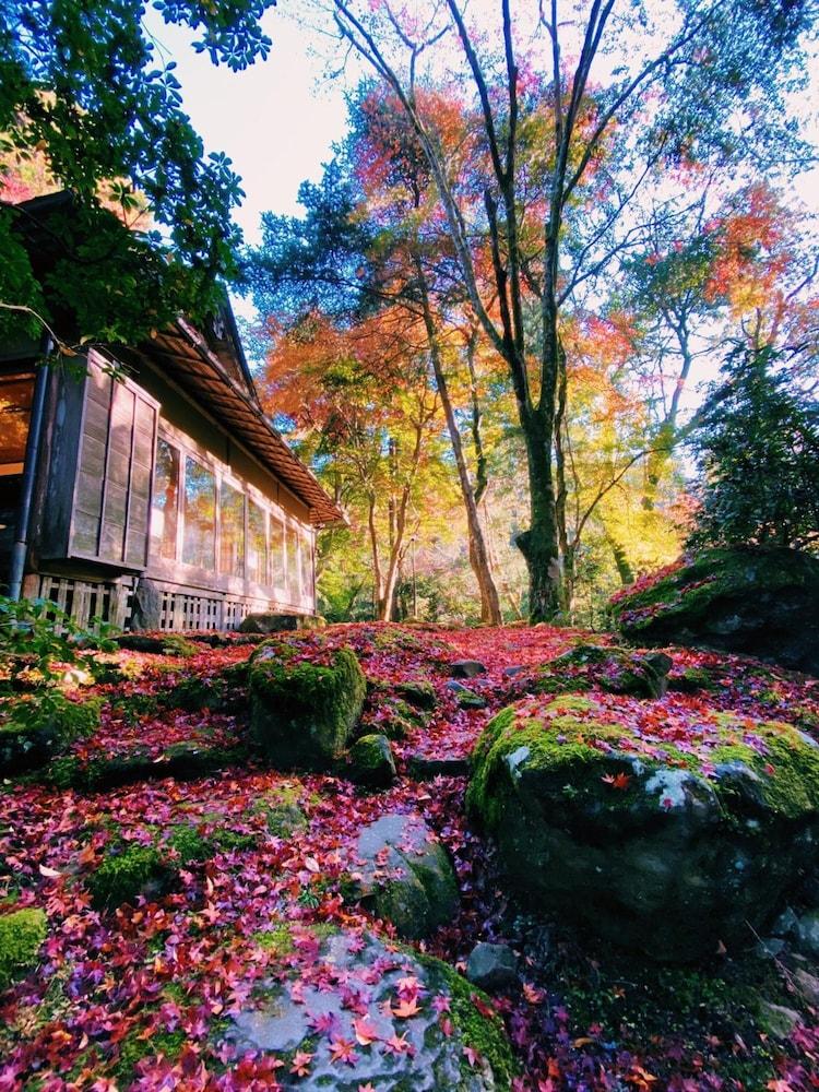 surroundings