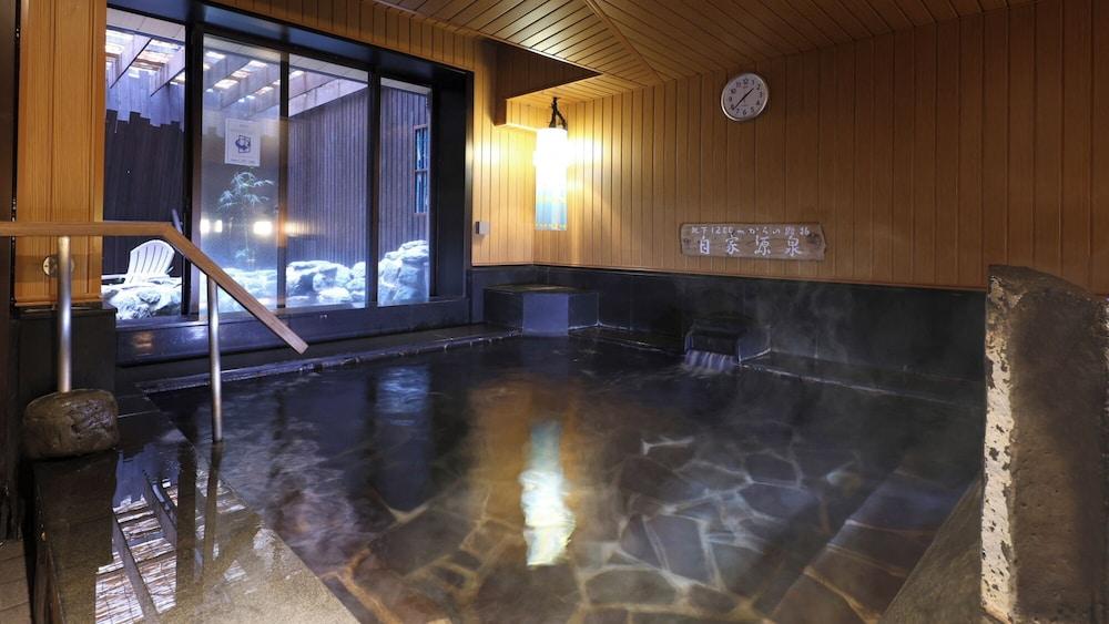 swimming pool spa