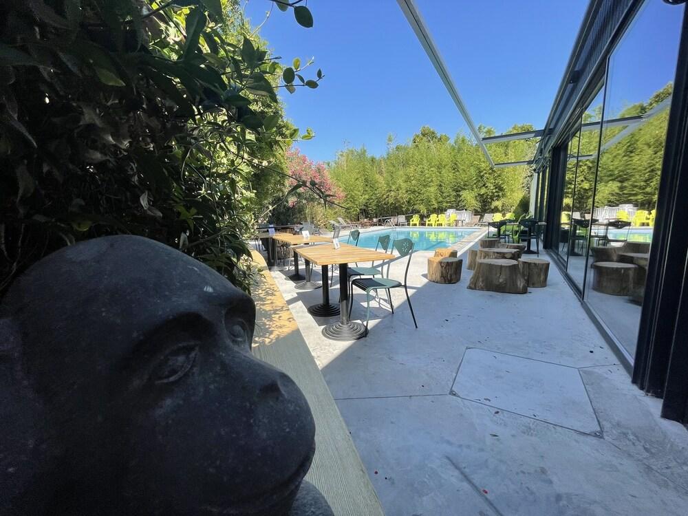 swimming pool spa