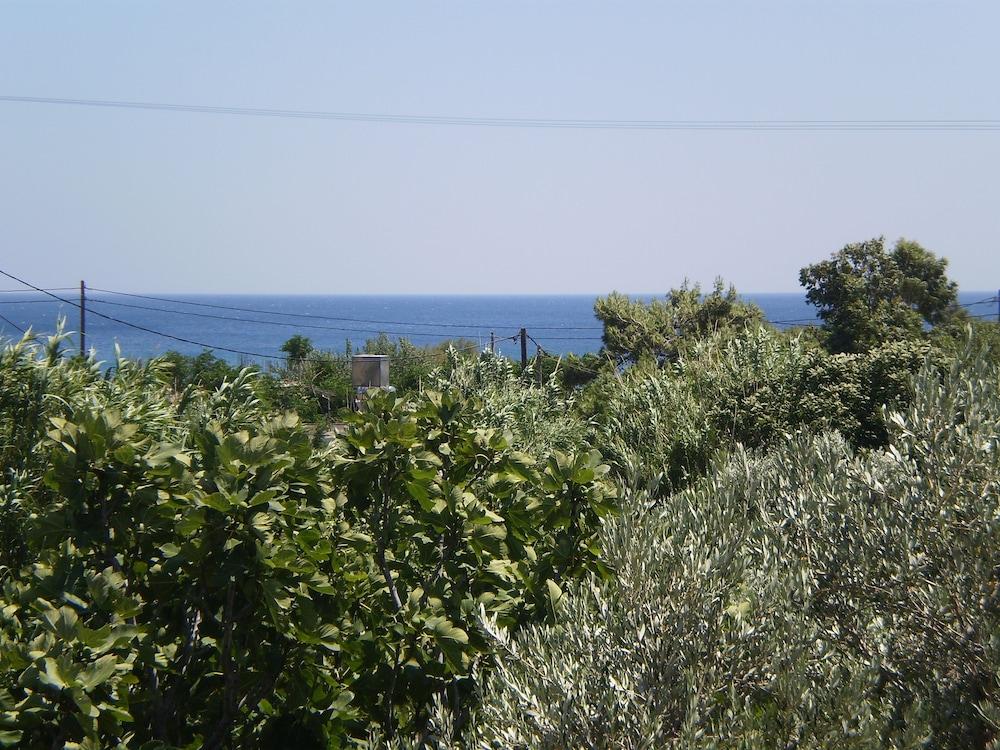 surroundings