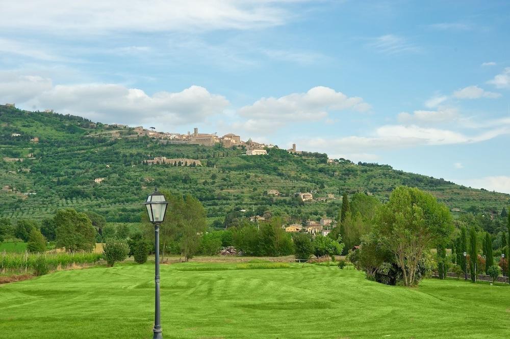 surroundings