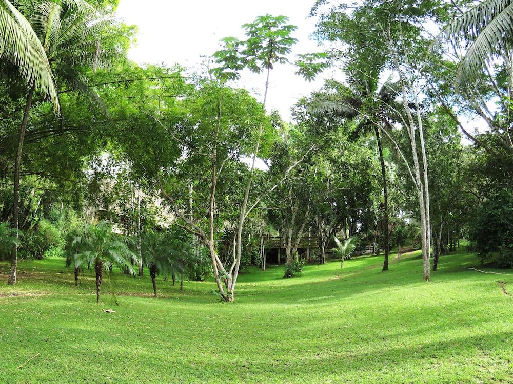 surroundings